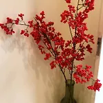 Apartament Charming *